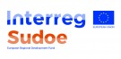 Webinário: Declaração das despesas- beneficiários portugueses