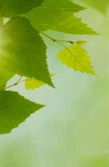 Objective 6d1: Reinforcing the cooperation of the SUDOE stakeholders of the natural sites through the development and the use of joint methods.