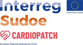Network of Excellence for the development of Advanced Therapies for the treatment of Myocardial Infarction based on regenerative medicine and 3D printing