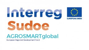 Space for competitiveness, promotion and international smart extension of agri-food cooperative in SUDOE Rural areas